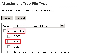 Select Executable as True file type