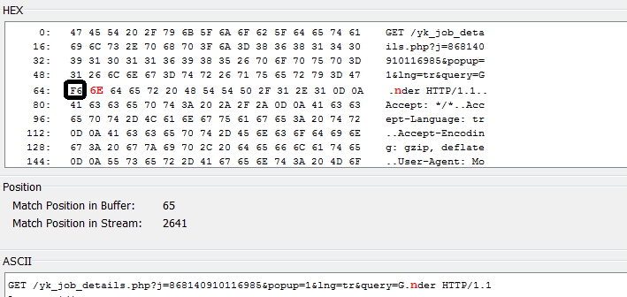 locate payload data