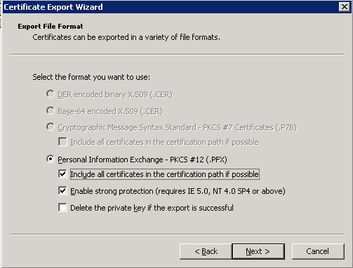 Select Personal Information Exchange.. and mark Include all certificates... and Enable strong protection...