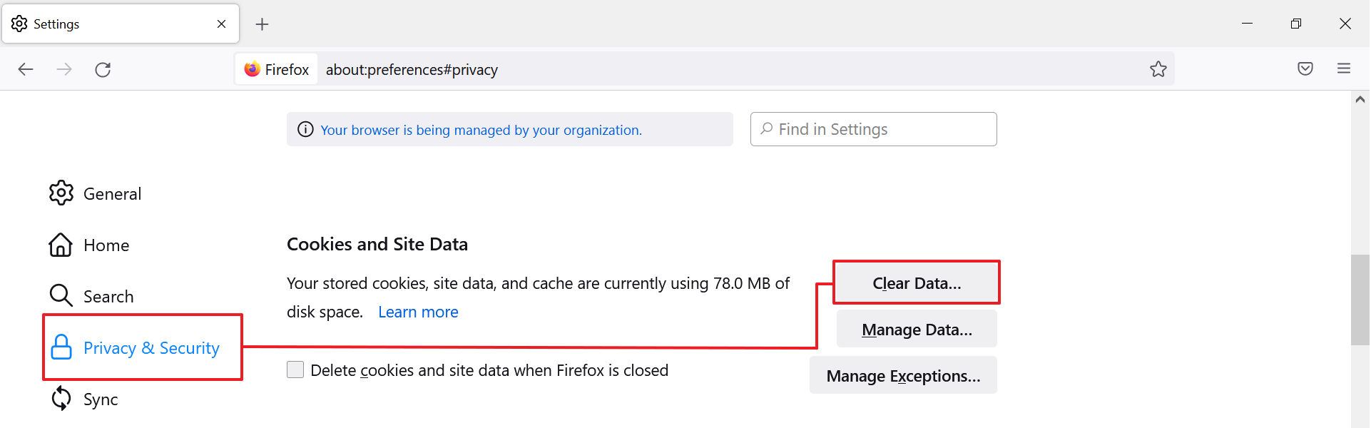 Firefox Preferences - Cookies and Site Data