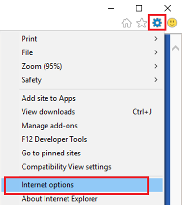 Internet Explorer - Internet Options