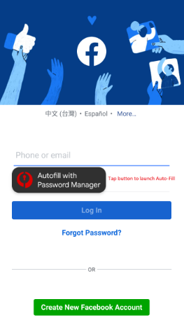 Autofill with Password Manager