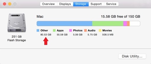 Other Storage in Mac
